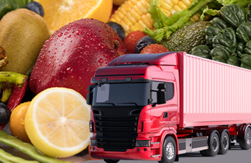 Cold Chain Logistics